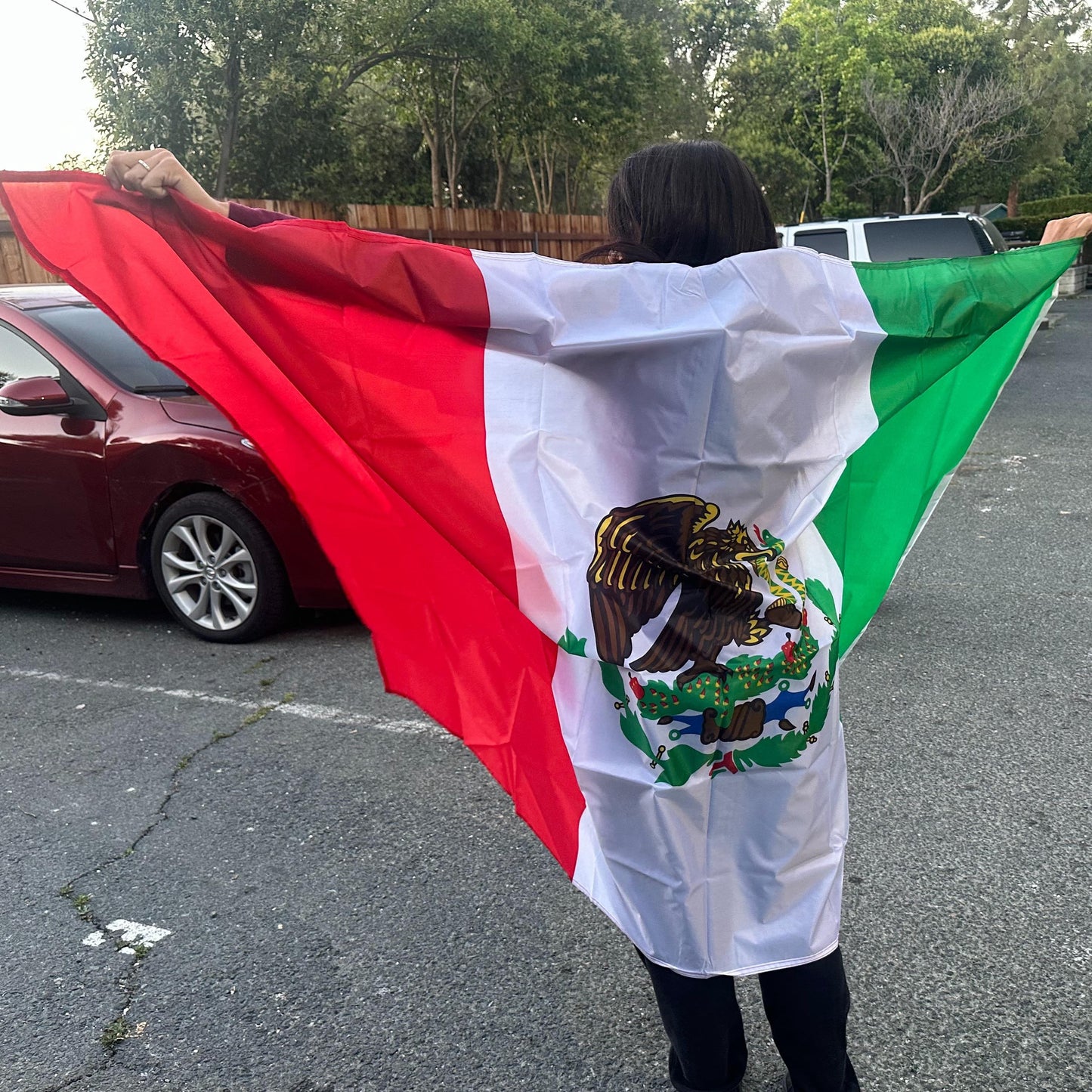 Hispanic Flag for Indoor or Outdoor Display
